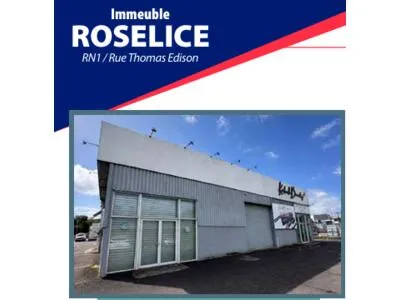 Local commercial 600m2 IMMEUBLE ROSELICE -