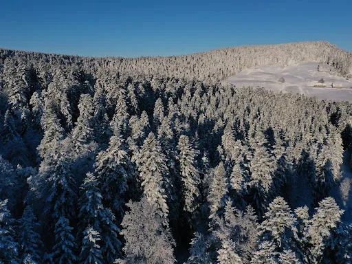 Terrain 2530000 m²