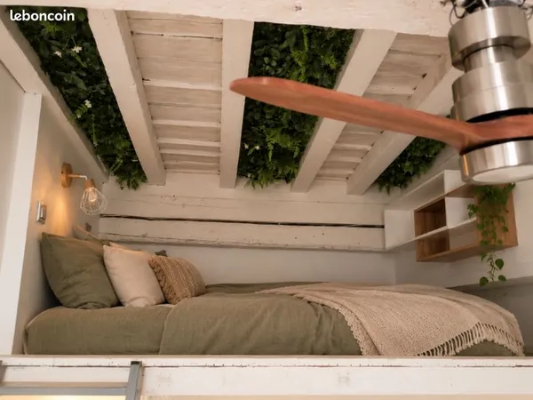 Stutio étudiant meublé + chambre