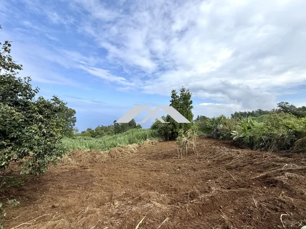 Terrains 704 m² La Chaloupe Saint-Leu