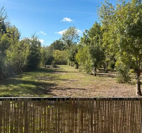 Terrain dans le marais poitevin