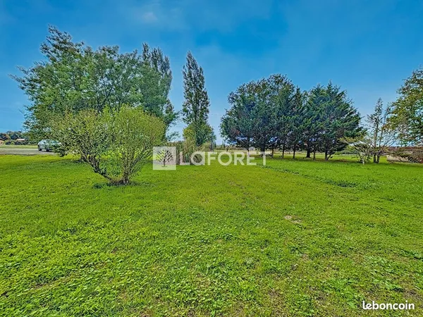 Terrain 600 m² LA MAGDELAINE SUR TARN