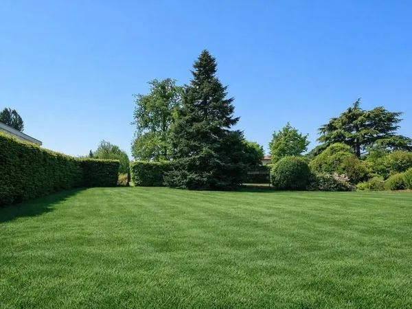 Terrain 765 m²