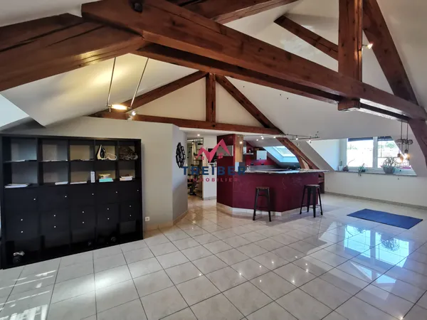 Appartement Belfort centre ville 150 m2 avec terrasse de 12
