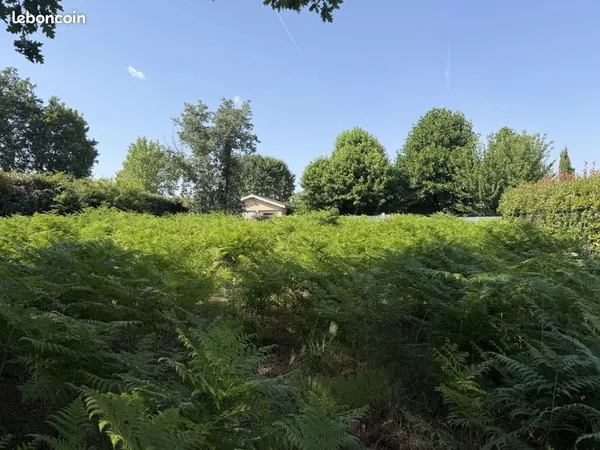 Terrain 1 100 m² Saint Aubin De Medoc