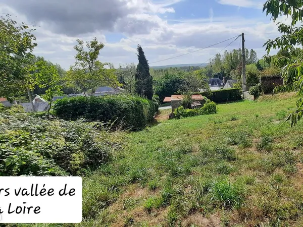 Terrain constructible