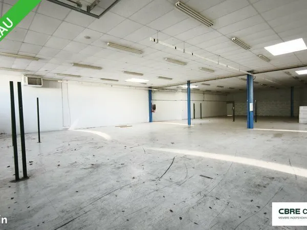 Local d'activité 1 717 m²