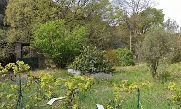 Terrain 3700 m²