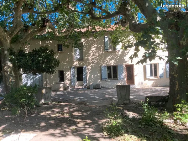 MAS ceinture verte d'Avignon