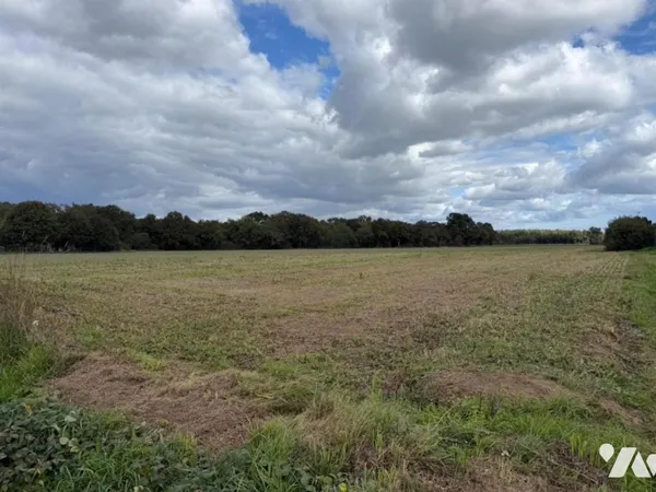 Terrain 554 m²
