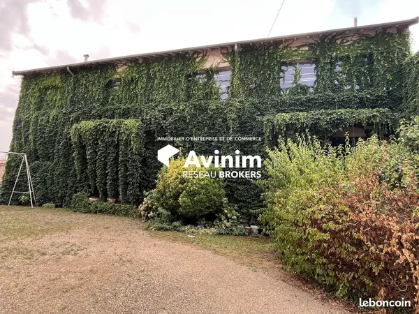 Local 650 m² Joze