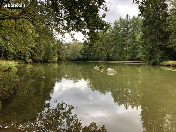 Etang avec cabane au milieu des bois