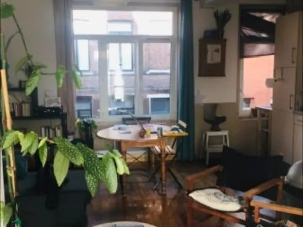 T2 lumineux 40 m2 meublé + buanderie privative 7 m² - Saint-André-lez-Lille
