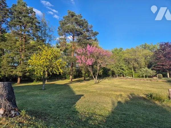 Terrain 1297 m²
