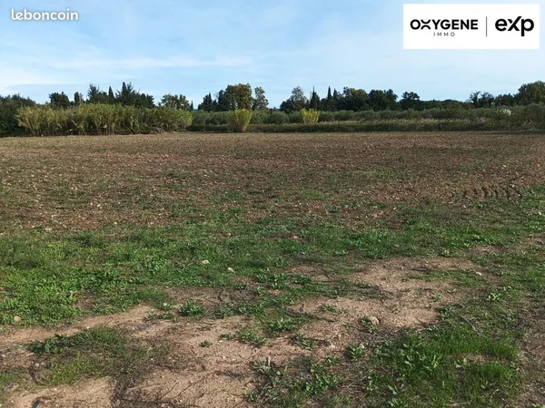 Terrain 6200 m² Toulouges