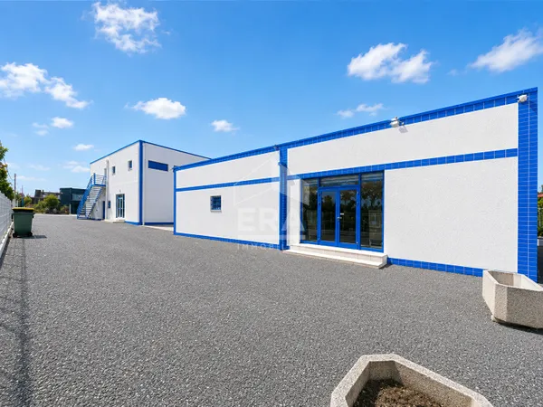 Local d'activité 994 m²