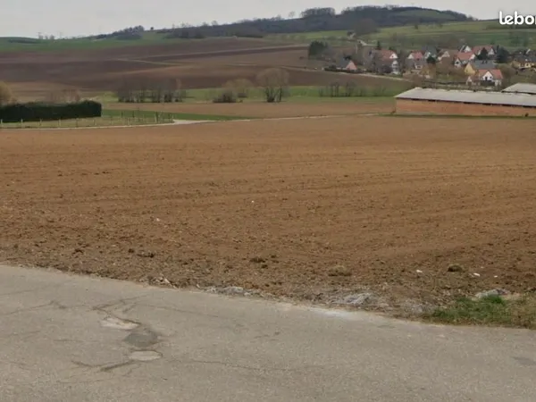 Terrain 3 100 m² Willgottheim