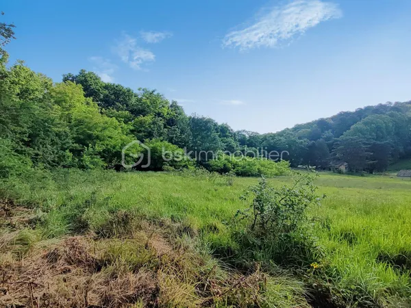 Terrain 9588 m²