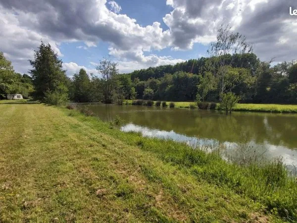 Terrain 12496 m² VILLEREAU