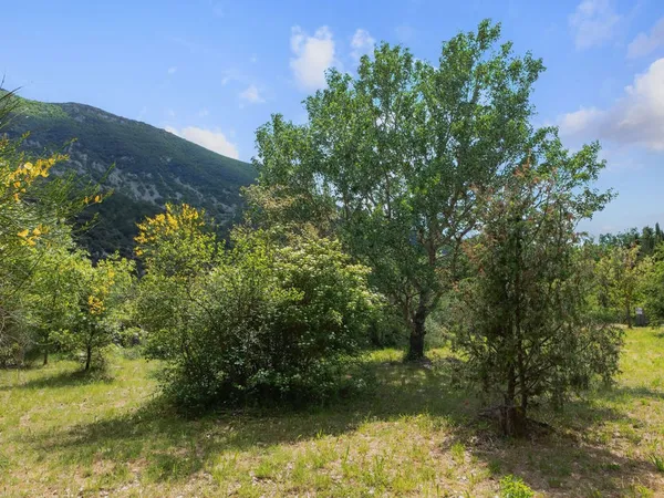 Terrain 3234 m²