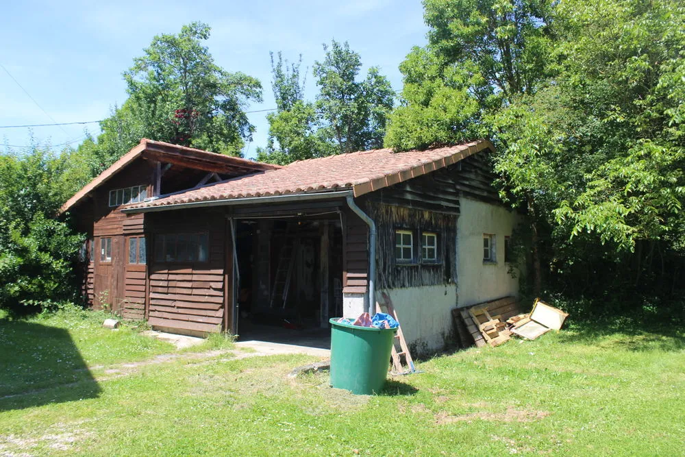 Photo 5
