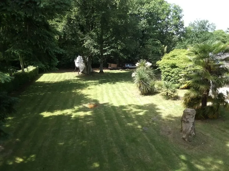 Photo 47