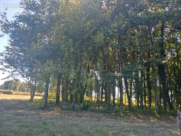 TERRAIN boisé