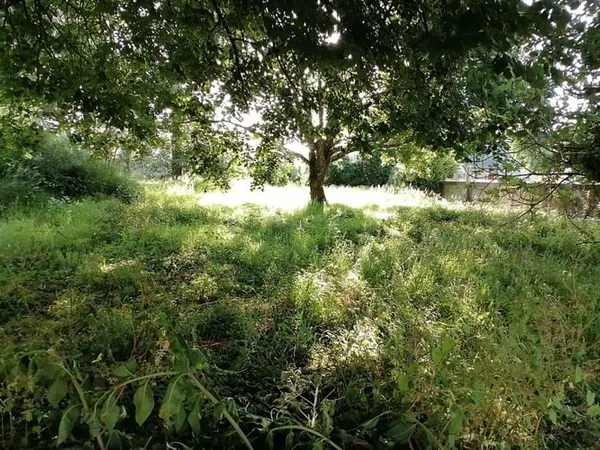 Terrain 774 m²
