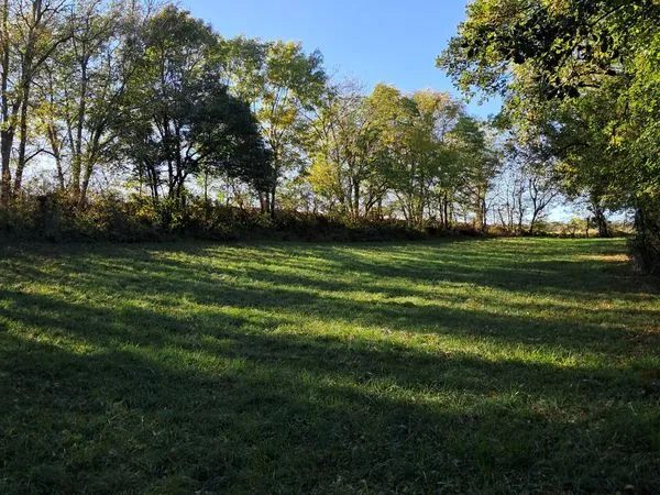 Prairies 8000 m2