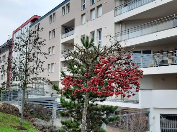 Appartement Metz 3 pièce(s) 66.57 m2