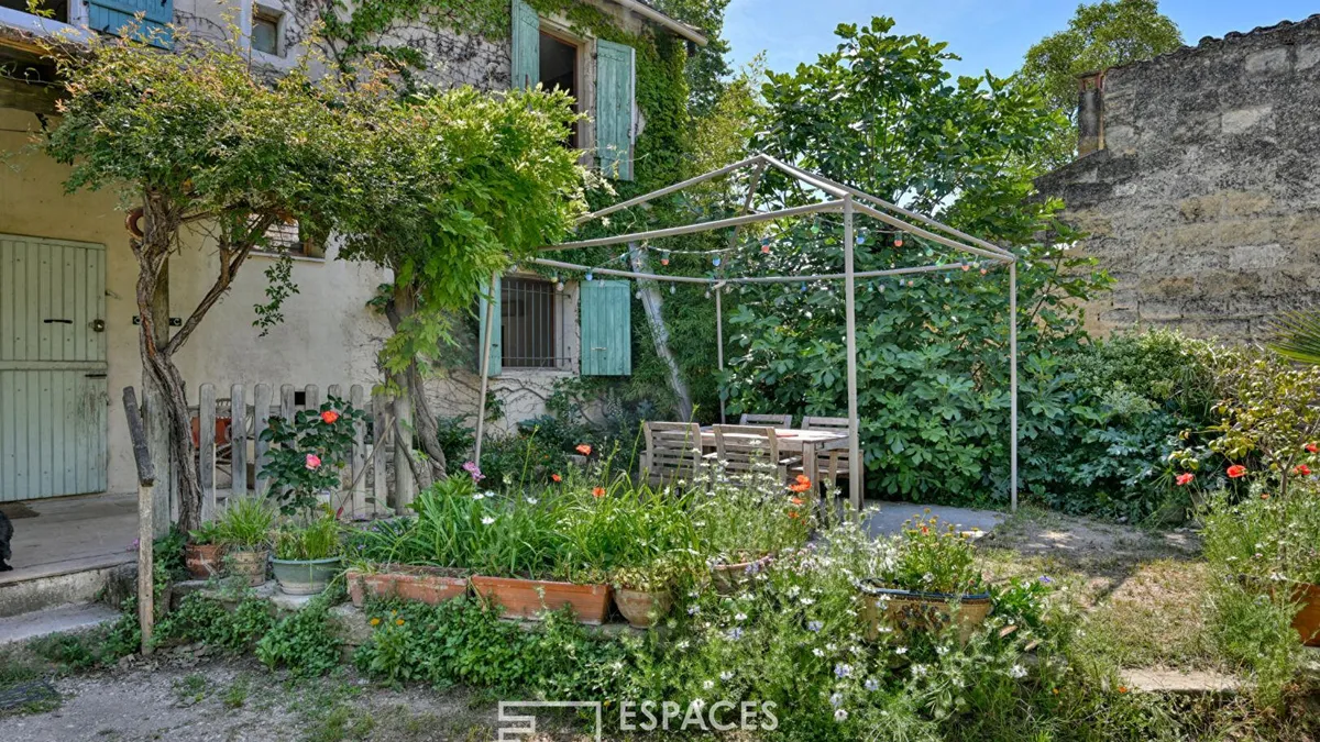 Photo 6