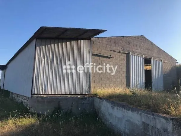 Local d’activité et entrepôt Vente Béthines   49000€