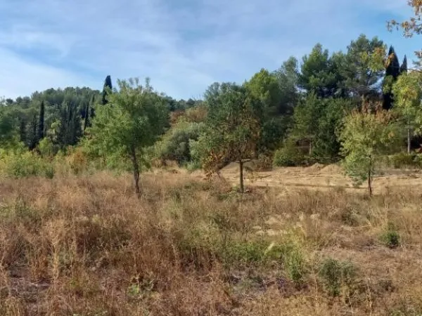 Terrain 631 m²