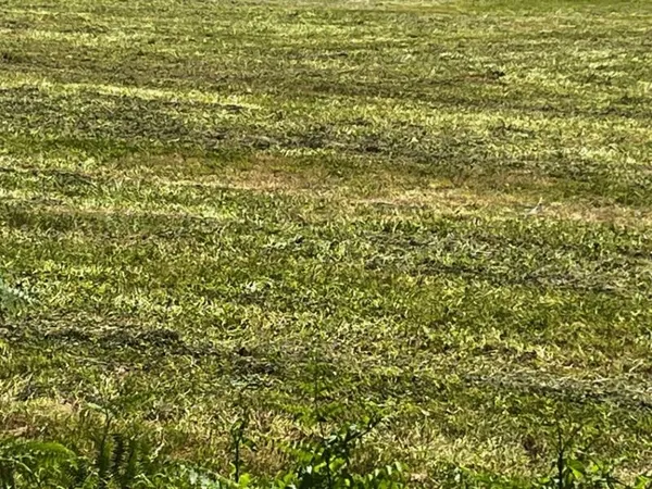 Terrain 1000 m²