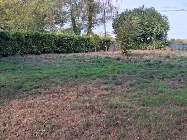 Vends terrain sur Allaire