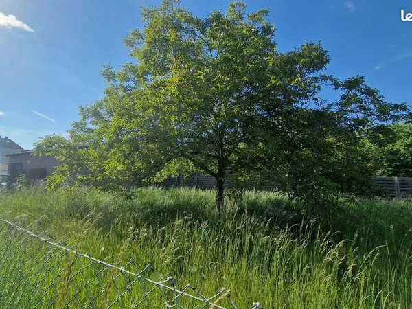 🌿 Jardin à louer ~450 m² - Uckange - Arboré et clôturé