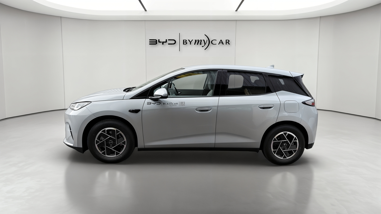 BYD Dolphin G 1.5 DM-i PHEV 212 ch — photo 2