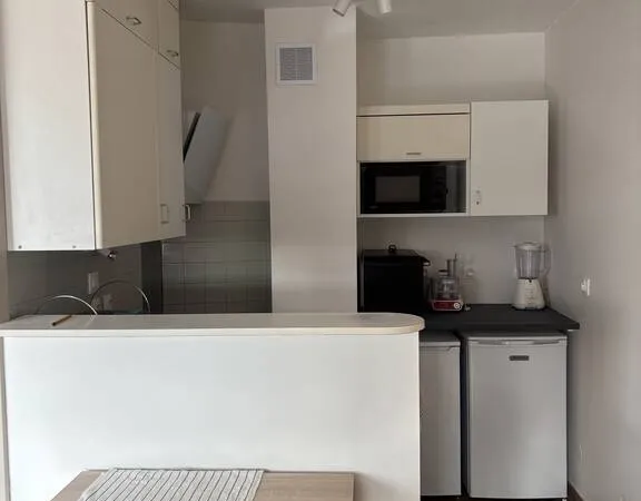 Appartement 1 pièce 29 m²
