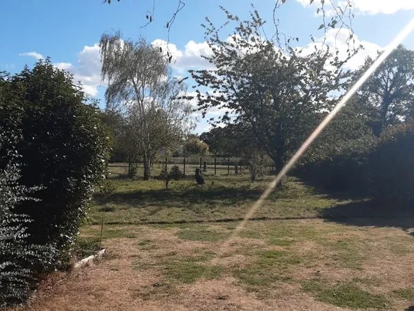 Terrain constructible 991m2