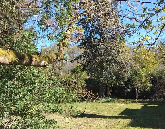 Terrain 666 m²