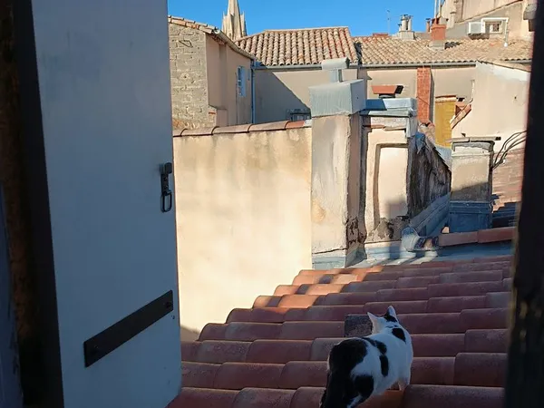 A vendre appartement 54m2 en duplex Coeur de ville Montpellier