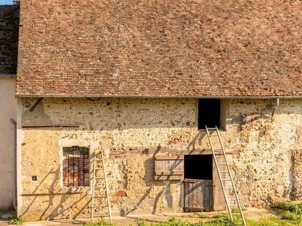 Maison 1 pièce 55 m²