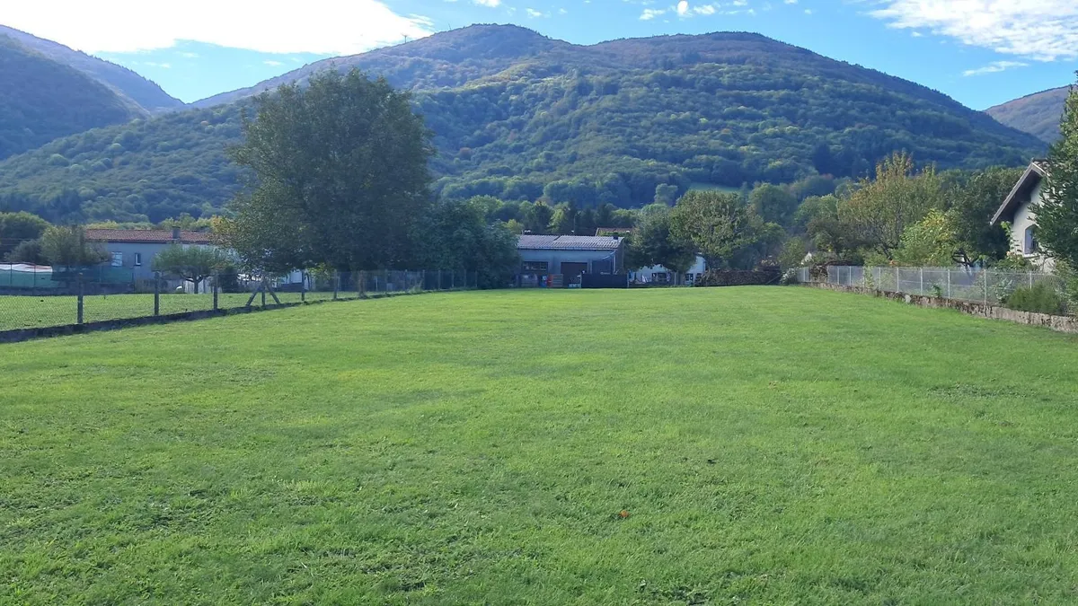 Photo 1