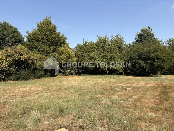 Terrain 780 m²