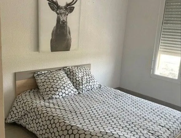 🏡 MAISON 75m2 EN COLOCATION - 300 TOUT COMPRIS