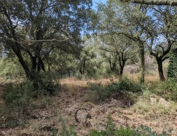 Terrain à bâtir Vente Sainte-Croix-de-Quintillargues  2259m² 425000€