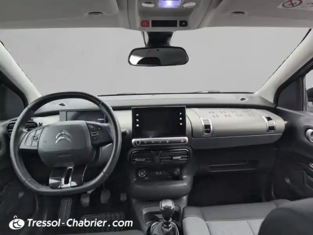 Citroën C4 cactus bluehdi 100 s&amp;s bvm6 shine — photo 10