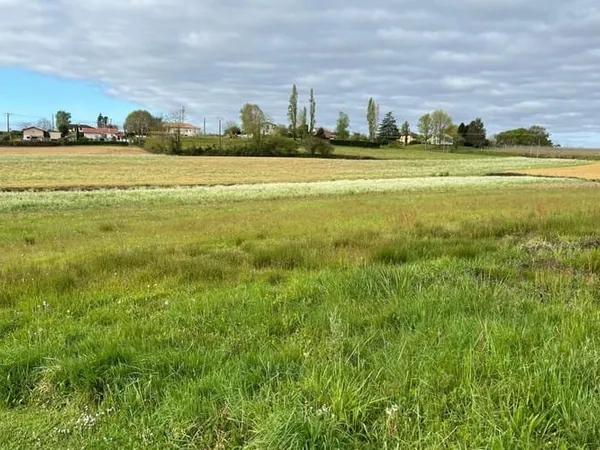 Terrain 11300 m²