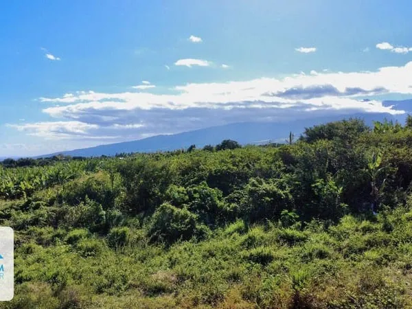 Terrain 440 m²