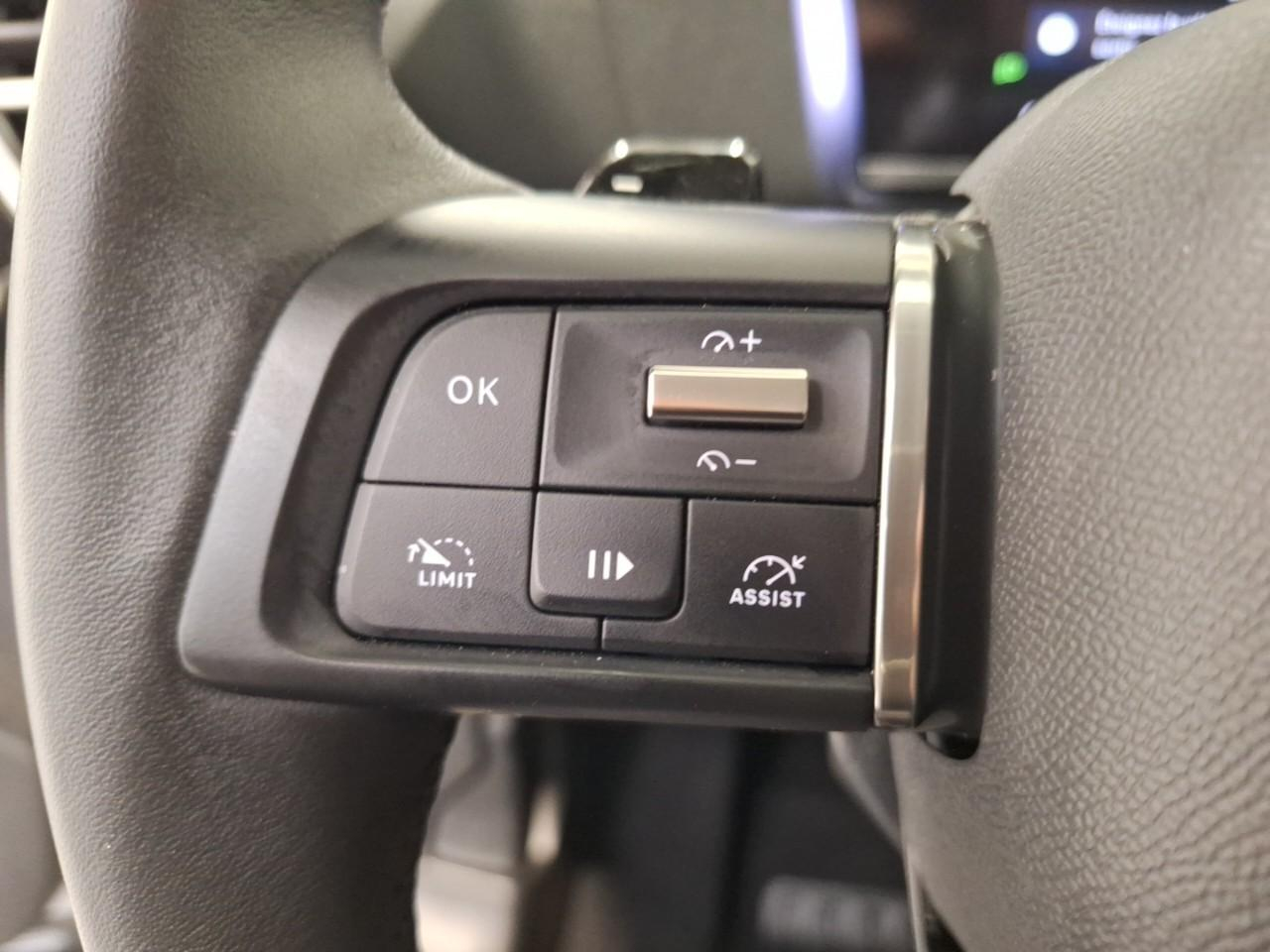 Citroën C4 bluehdi 130 eat8 plus — photo 22